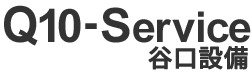 Q10-Service
